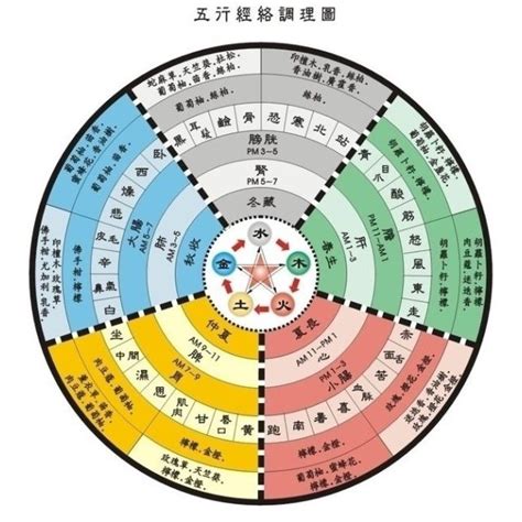 五術命理|五术（仙、医、命、卜、相的合称）